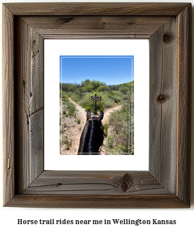 horse trail rides near me in Wellington, Kansas